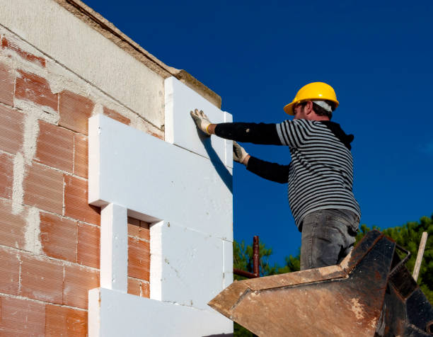 Best Insulation for Specific Applications in South Alamo, TX