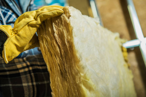 Best Types of Insulation in South Alamo, TX