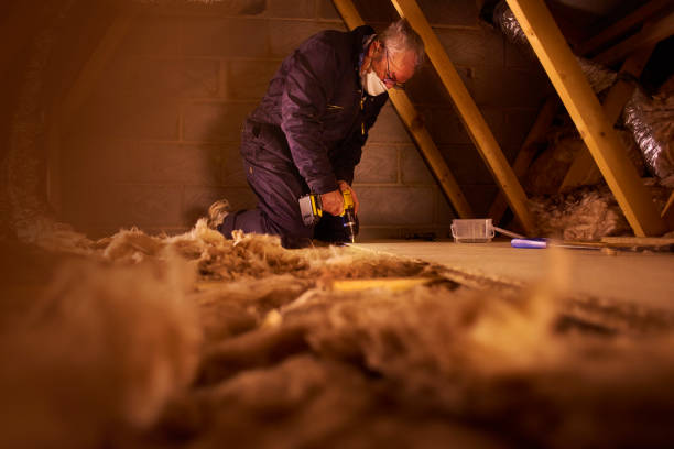 Best Residential Insulation in South Alamo, TX